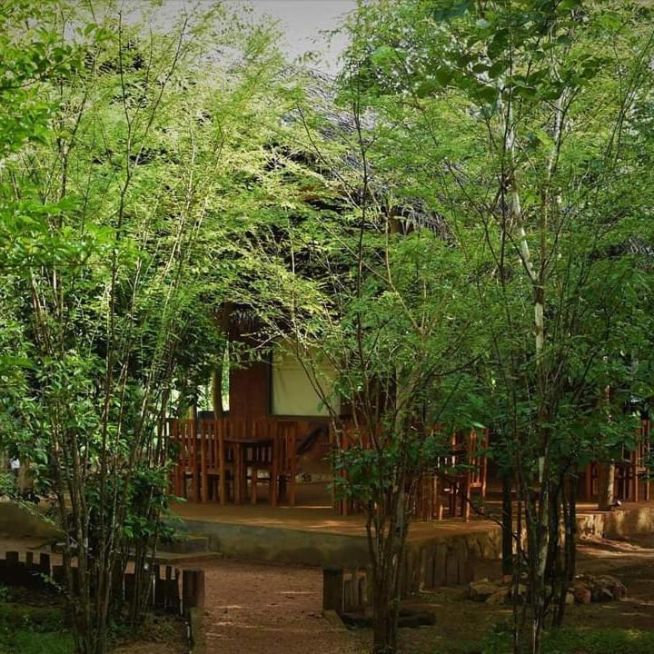 Sky Forest 하바라나 외부 사진