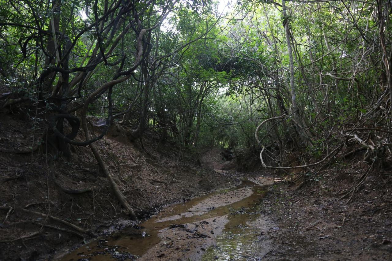 Sky Forest 하바라나 외부 사진